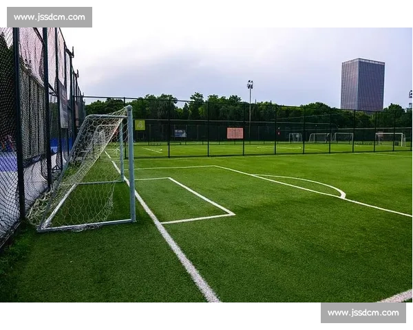 门柱之内外足球命运转折的瞬间与传奇故事赛场历史回响与荣耀记忆